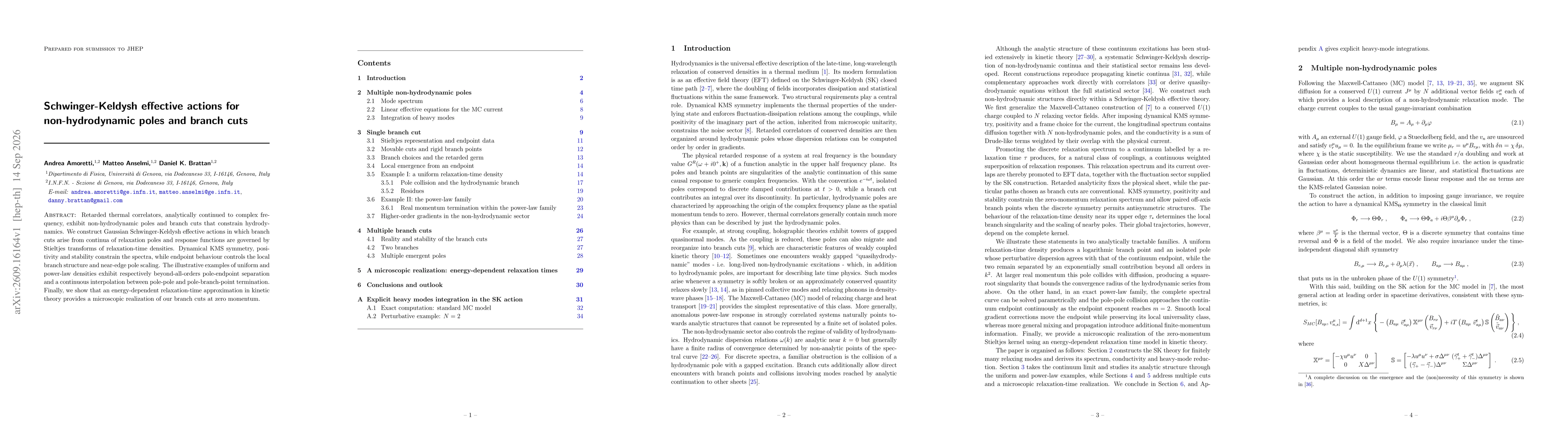 Thumbnail for Schwinger-Keldysh effective actions for non-hydrodynamic poles and branch cuts