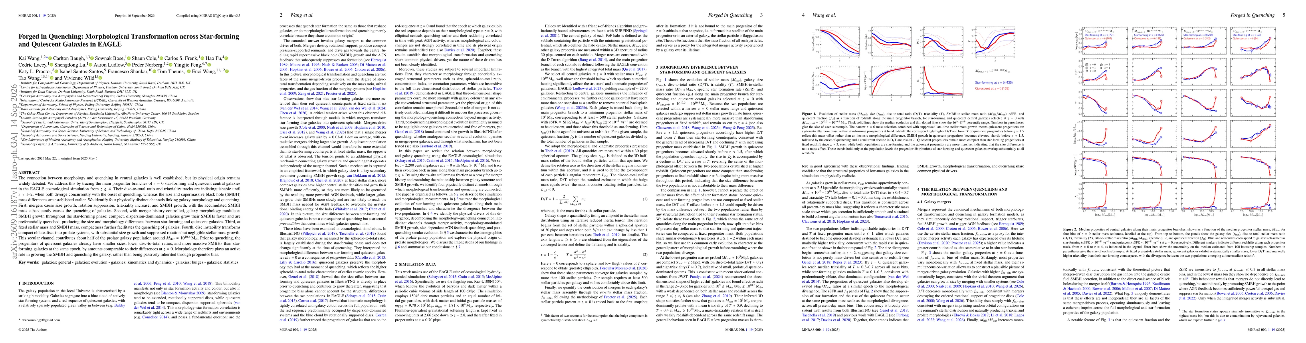 Thumbnail for Forged in Quenching: Morphological Transformation across Star-forming and Quiescent Galaxies in EAGLE