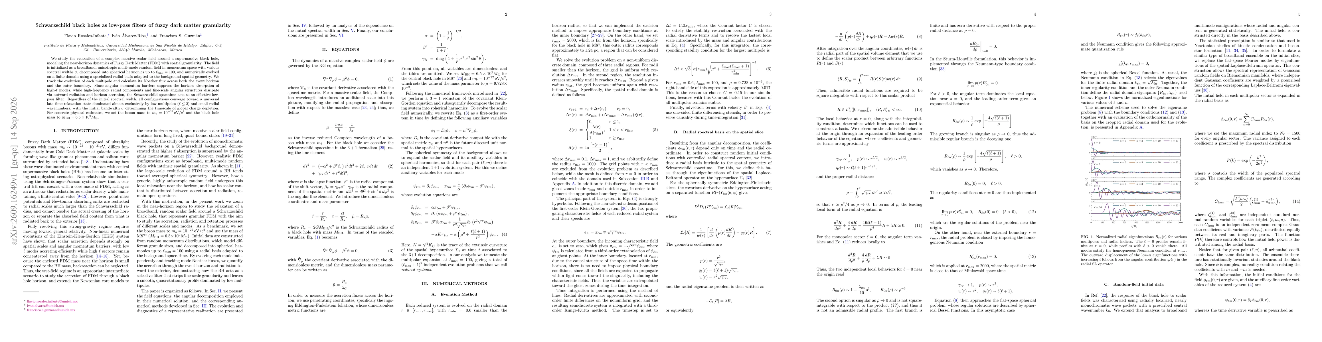 Thumbnail for Schwarzschild black holes as low-pass filters of fuzzy dark matter granularity