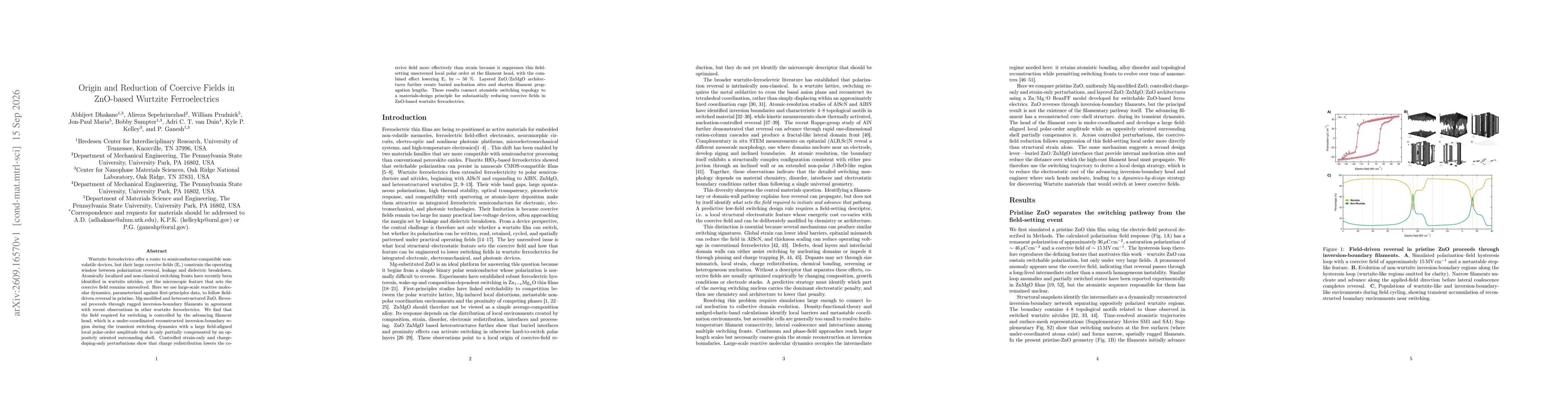 Thumbnail for Origin and Reduction of Coercive Fields in ZnO-based Wurtzite Ferroelectrics