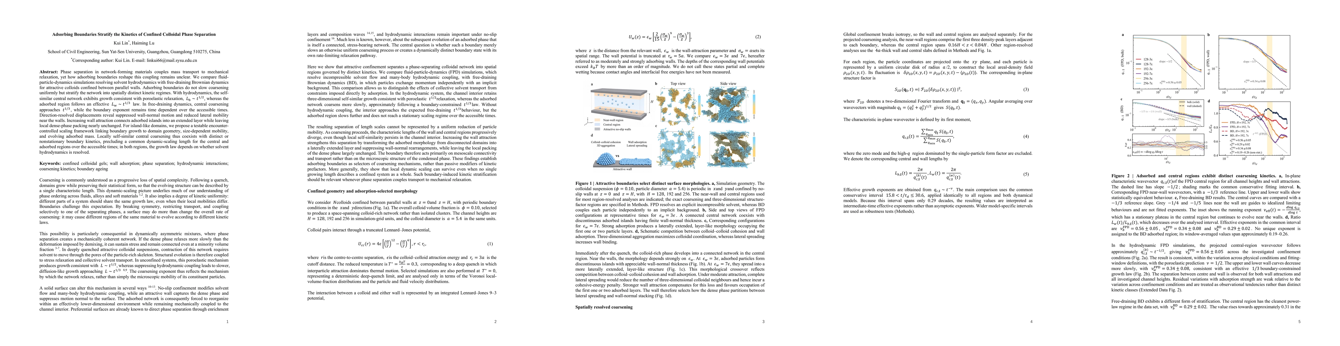 Thumbnail for Adsorbing Boundaries Stratify the Kinetics of Confined Colloidal Phase Separation