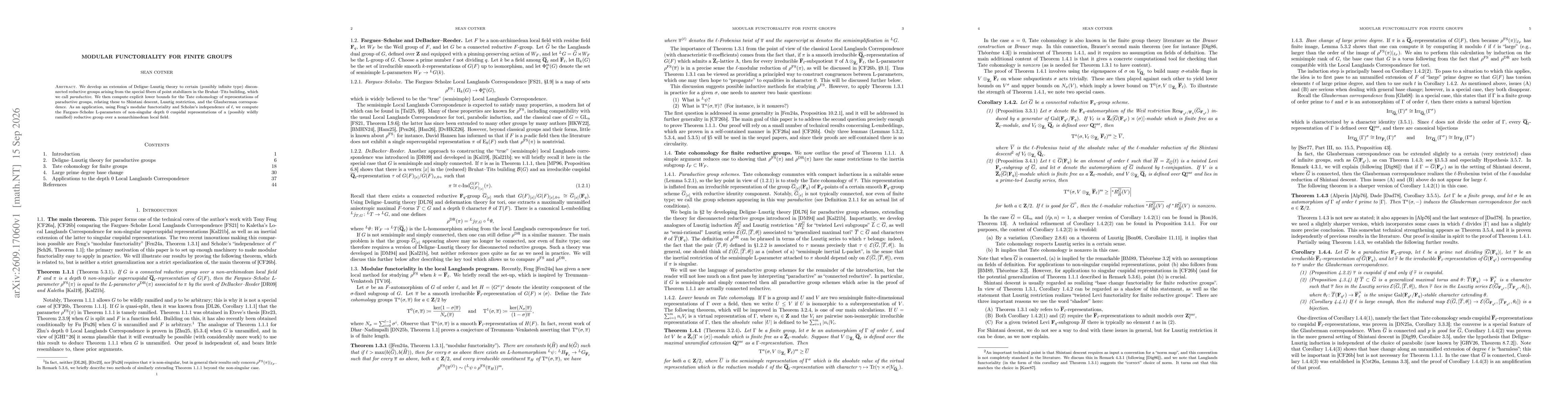 Thumbnail for Modular functoriality for finite groups
