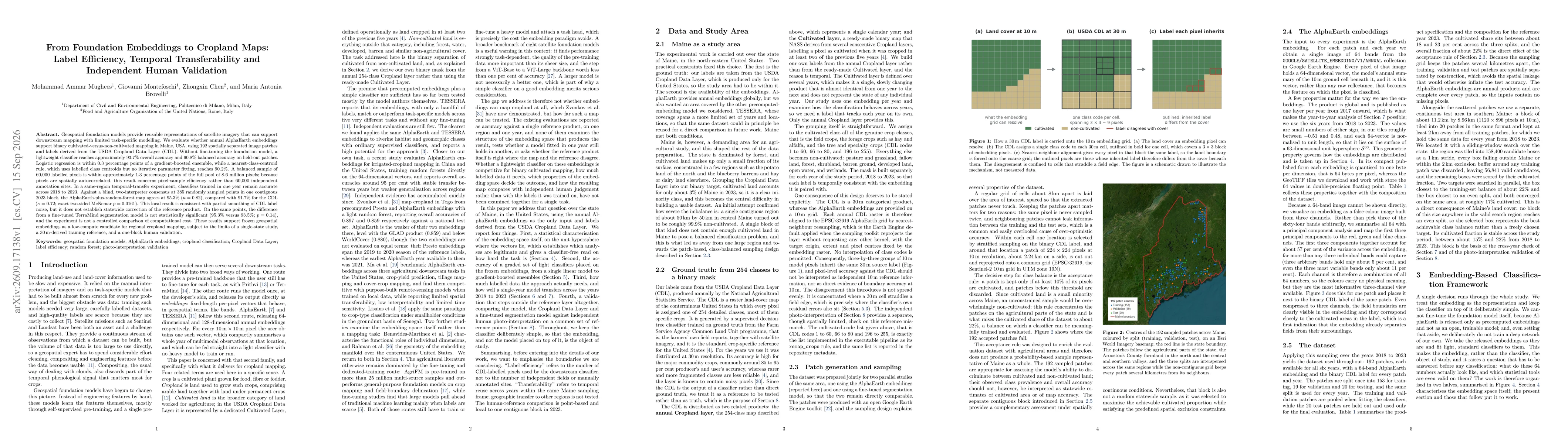 Thumbnail for From Foundation Embeddings to Cropland Maps: Label Efficiency, Temporal Transferability and Independent Human Validation