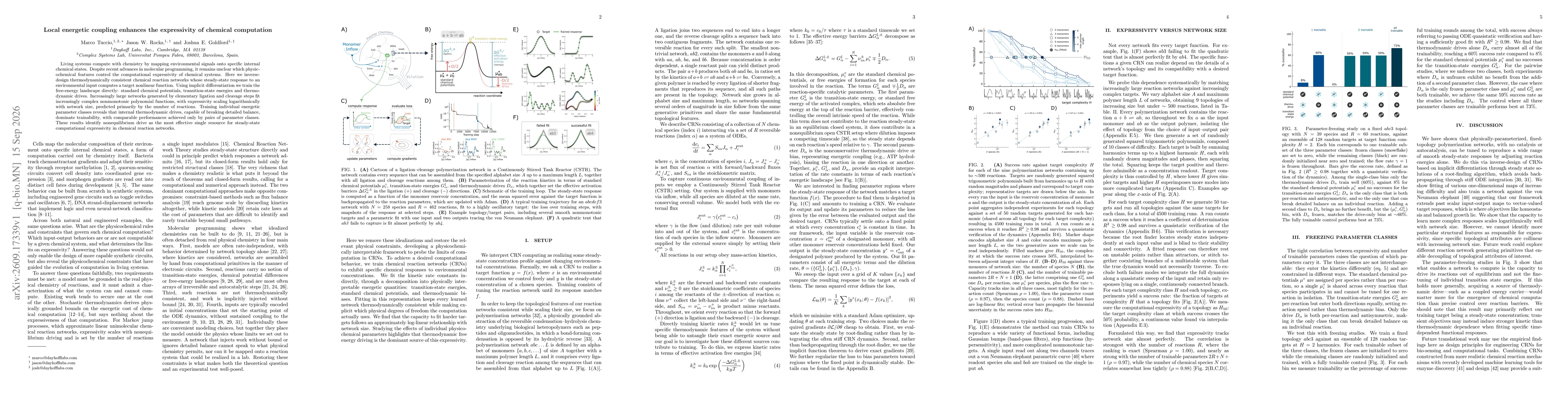 Thumbnail for Local energetic coupling enhances the expressivity of chemical computation