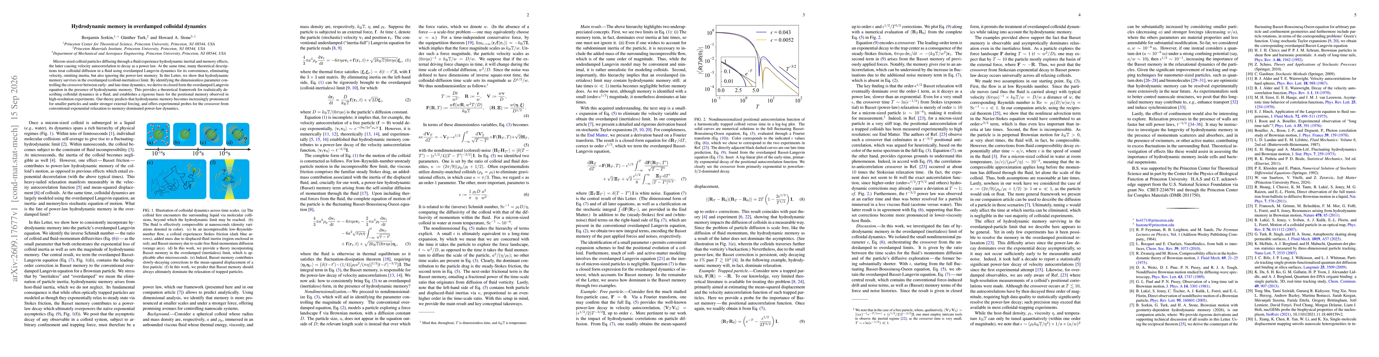 Thumbnail for Hydrodynamic memory in overdamped colloidal dynamics