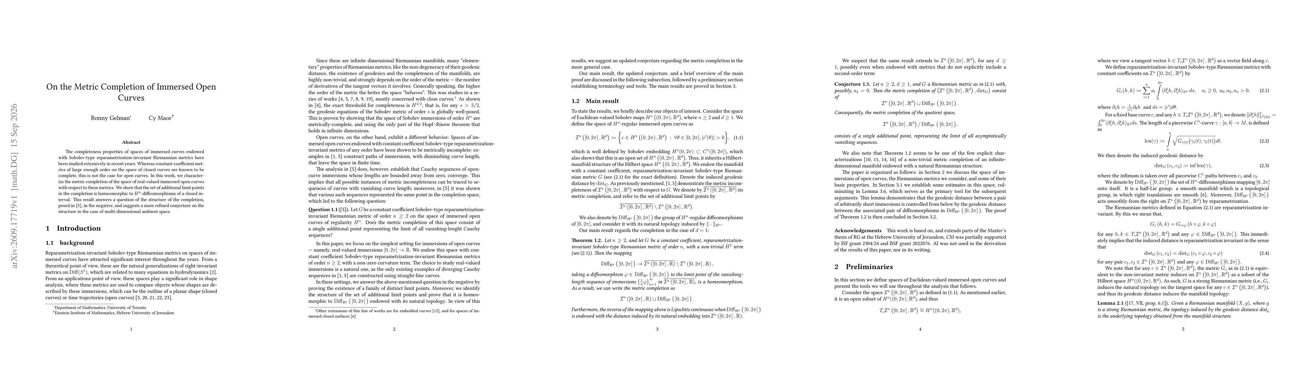 Thumbnail for On the Metric Completion of Immersed Open Curves