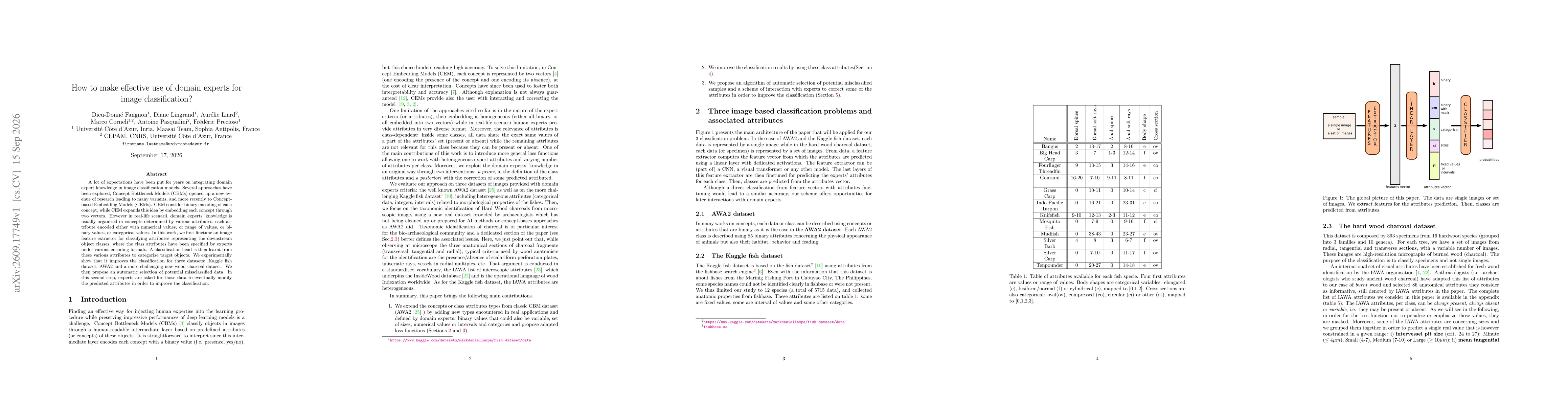 Thumbnail for How to make effective use of domain experts for image classification?