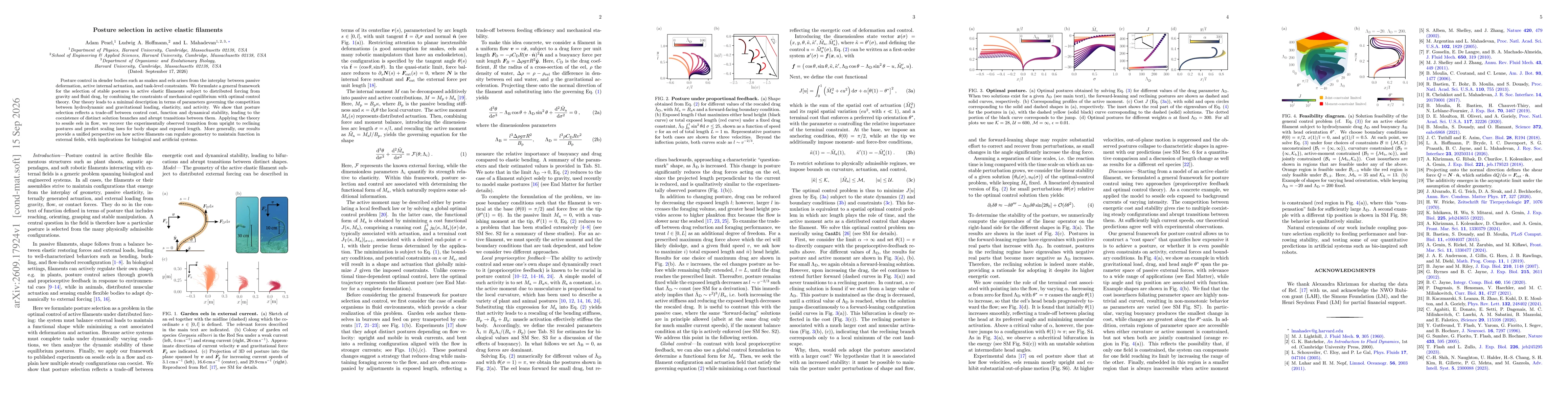 Thumbnail for Posture selection in active elastic filaments