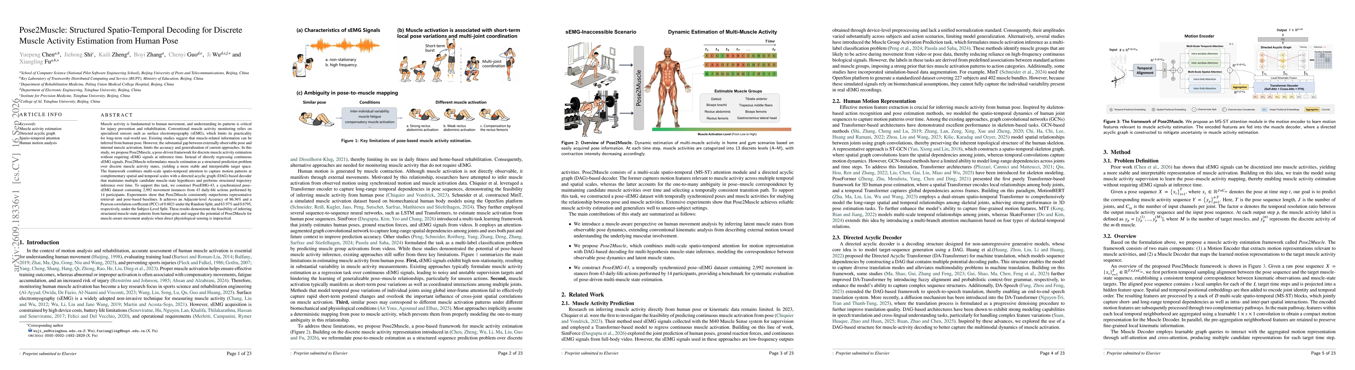 Thumbnail for Pose2Muscle: Structured Spatio-Temporal Decoding for Discrete Muscle Activity Estimation from Human Pose