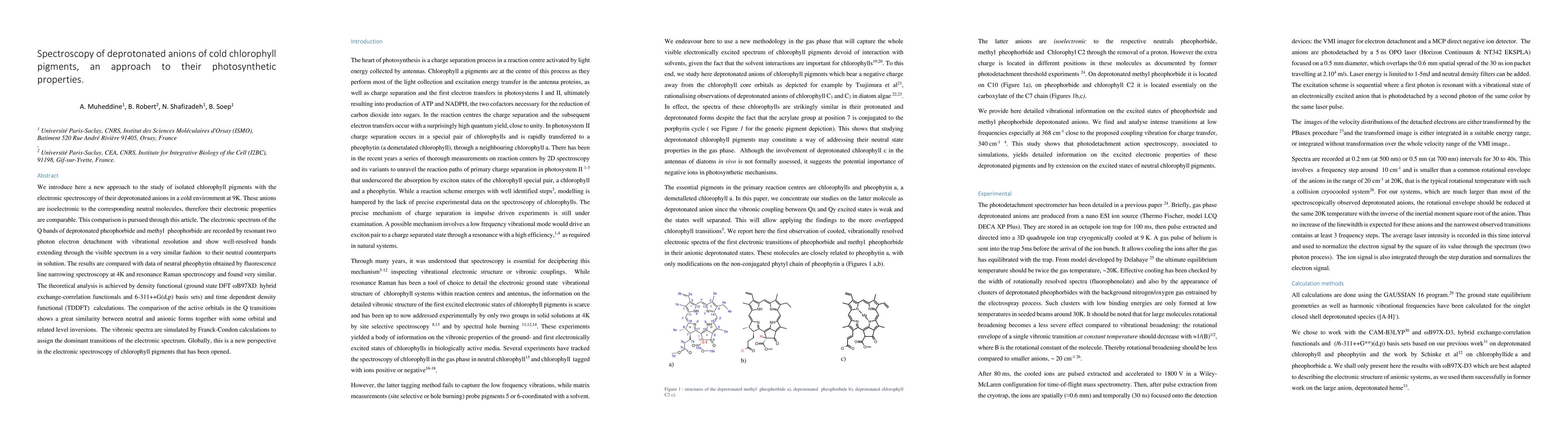 Thumbnail for Spectroscopy of deprotonated anions of cold chlorophyll pigments, an approach to their photosynthetic properties