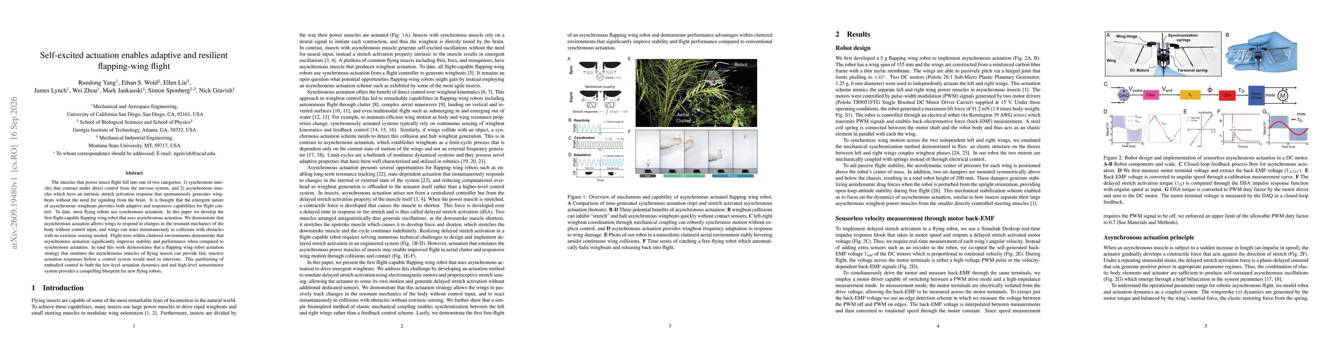 Thumbnail for Self-excited actuation enables adaptive and resilient flapping-wing flight