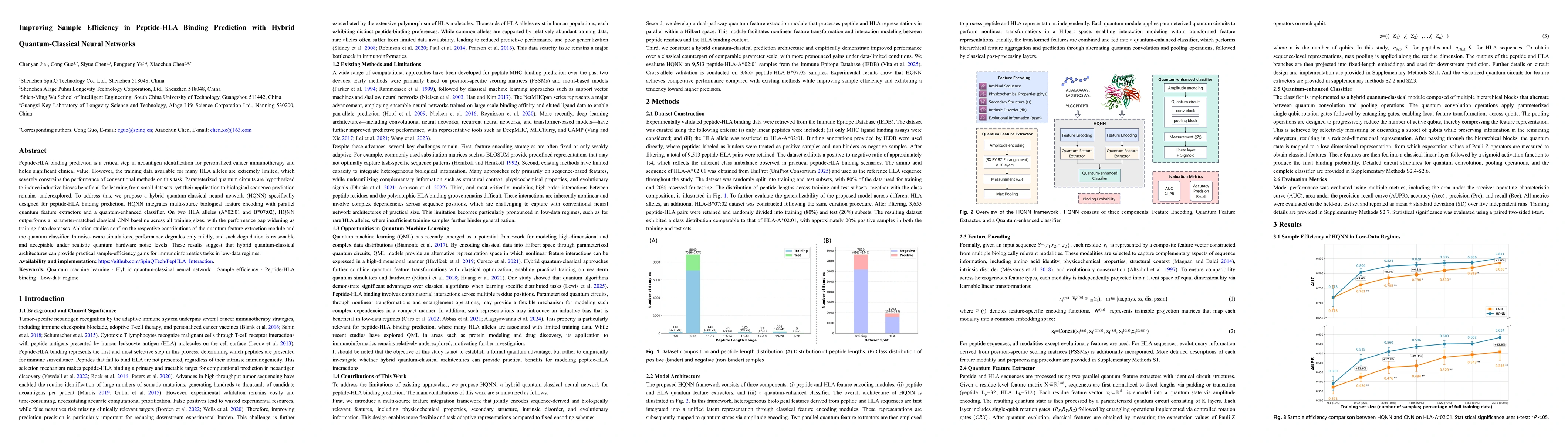 Thumbnail for Improving Sample Efficiency in Peptide-HLA Binding Prediction with Hybrid Quantum-Classical Neural Networks