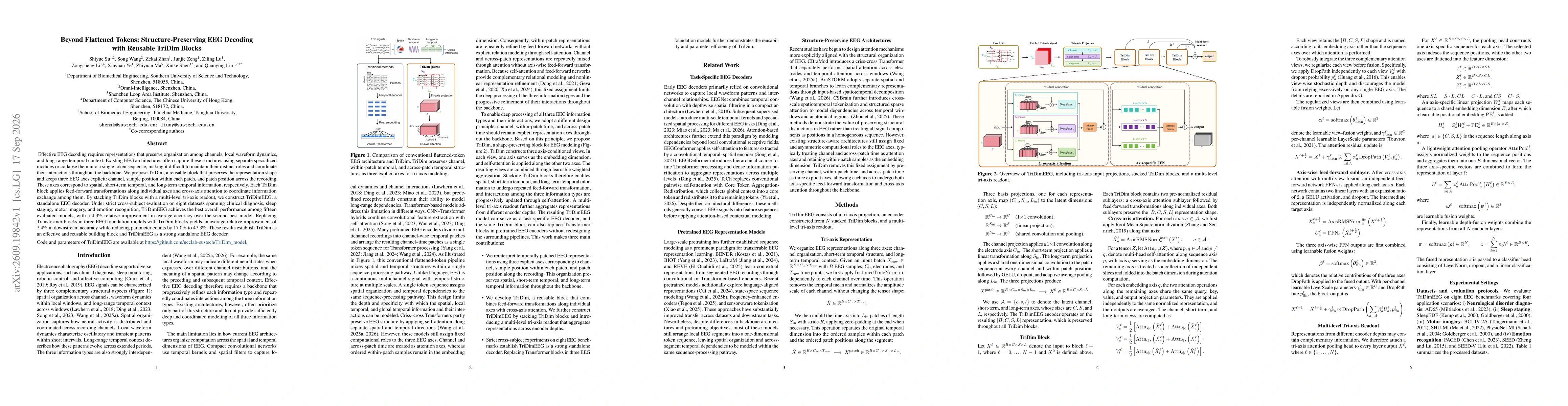 Thumbnail for Beyond Flattened Tokens: Structure-Preserving EEG Decoding with Reusable TriDim Blocks