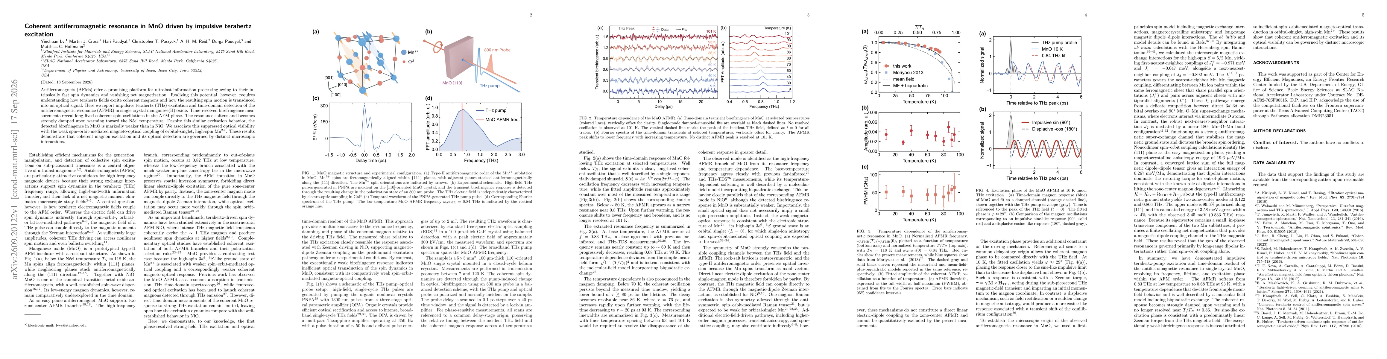 Thumbnail for Coherent antiferromagnetic resonance in MnO driven by impulsive terahertz excitation
