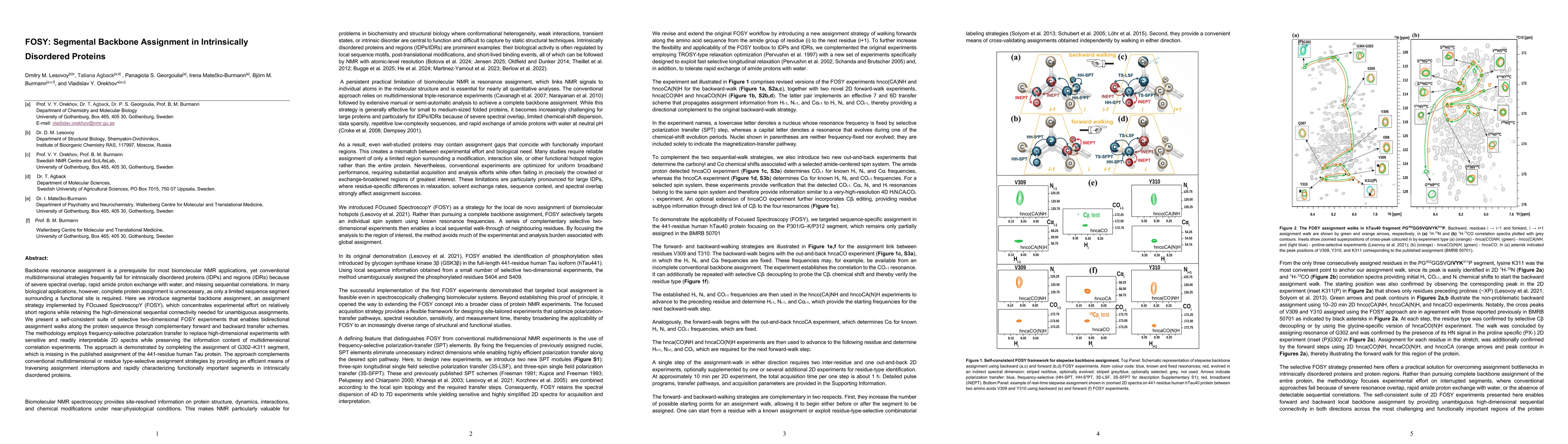 Thumbnail for FOSY: Segmental Backbone Assignment in Intrinsically Disordered Proteins