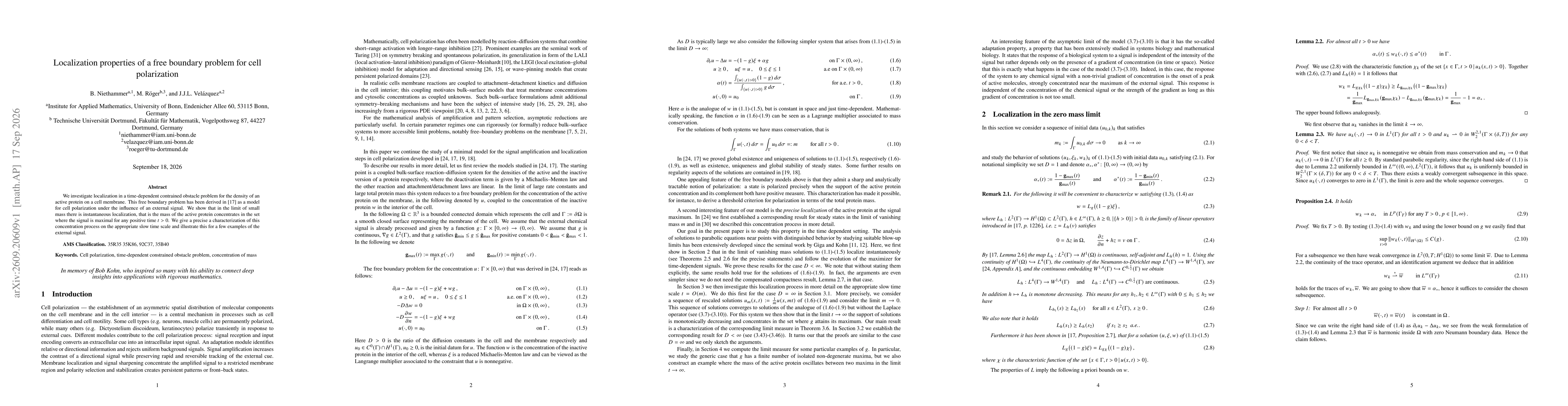 Thumbnail for Localization properties of a free boundary problem for cell polarization
