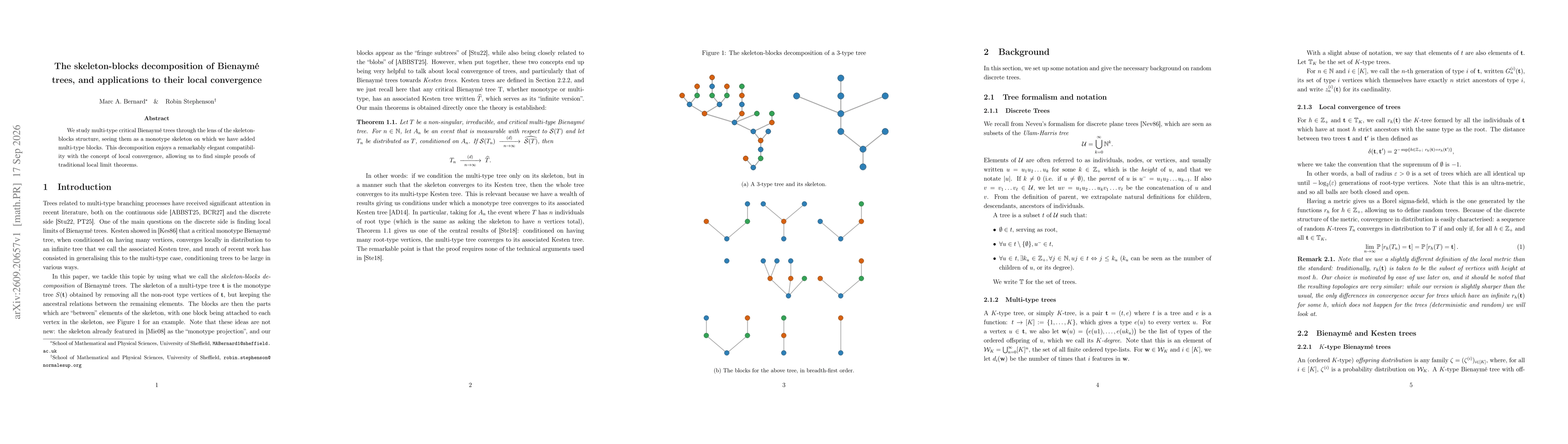 Thumbnail for The skeleton-blocks decomposition of Bienaymé trees, and applications to their local convergence