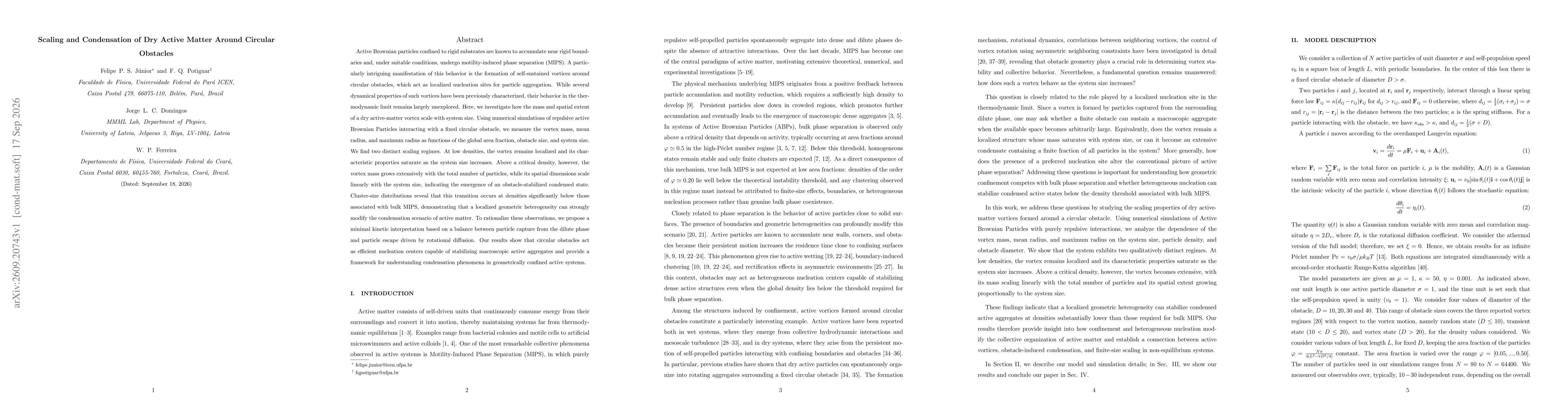 Thumbnail for Scaling and Condensation of Dry Active Matter Around Circular Obstacles