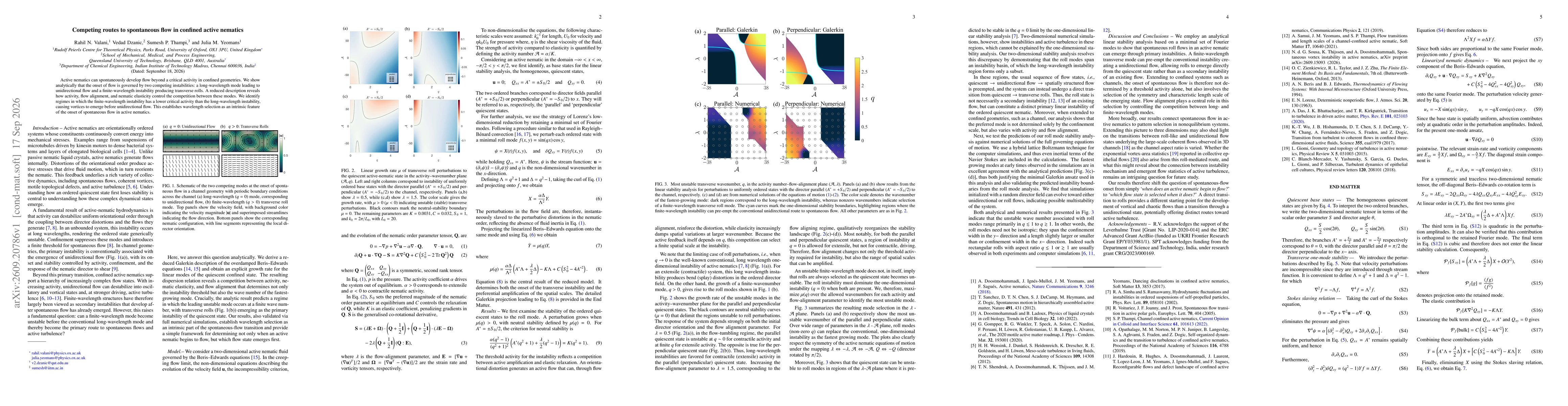 Thumbnail for Competing routes to spontaneous flow in confined active nematics