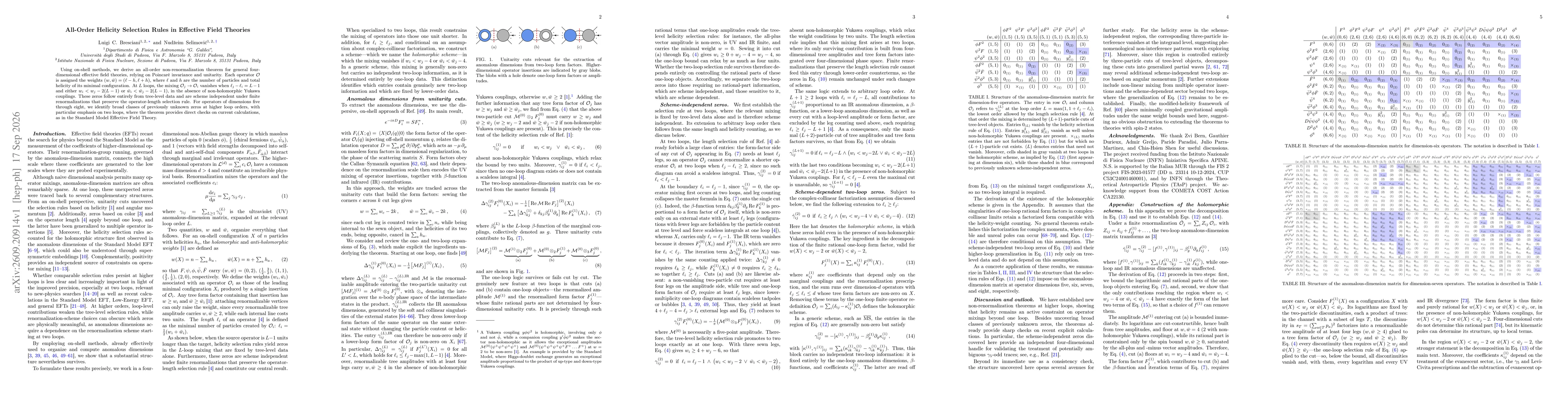 Thumbnail for All-Order Helicity Selection Rules in Effective Field Theories