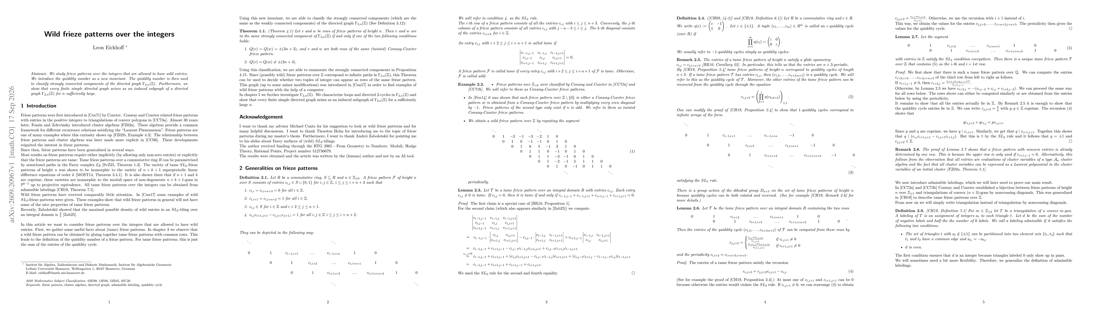 Thumbnail for Wild frieze patterns over the integers