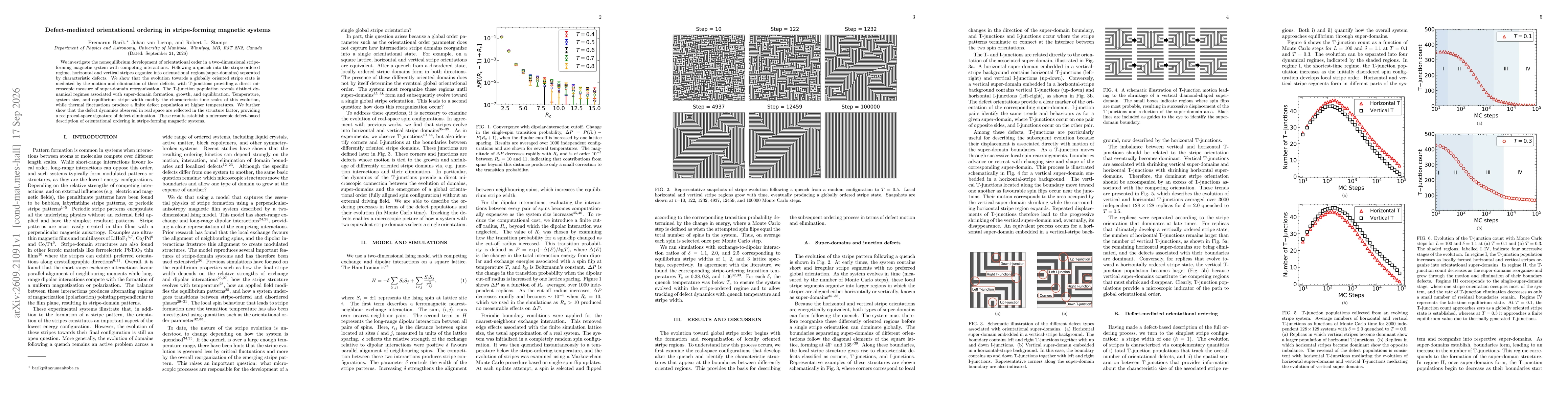 Thumbnail for Defect-mediated orientational ordering in stripe-forming magnetic systems