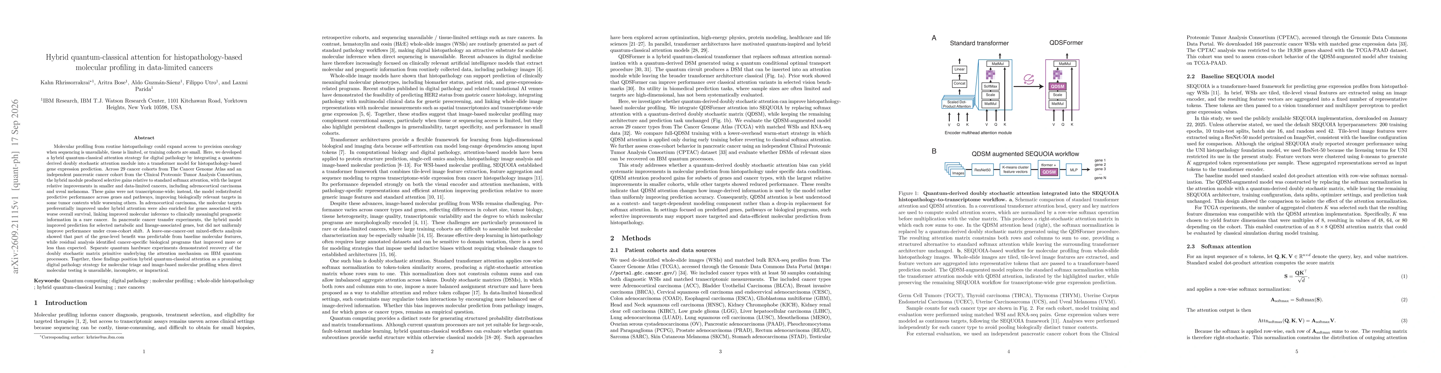 Thumbnail for Hybrid quantum-classical attention for histopathology-based molecular profiling in data-limited cancers