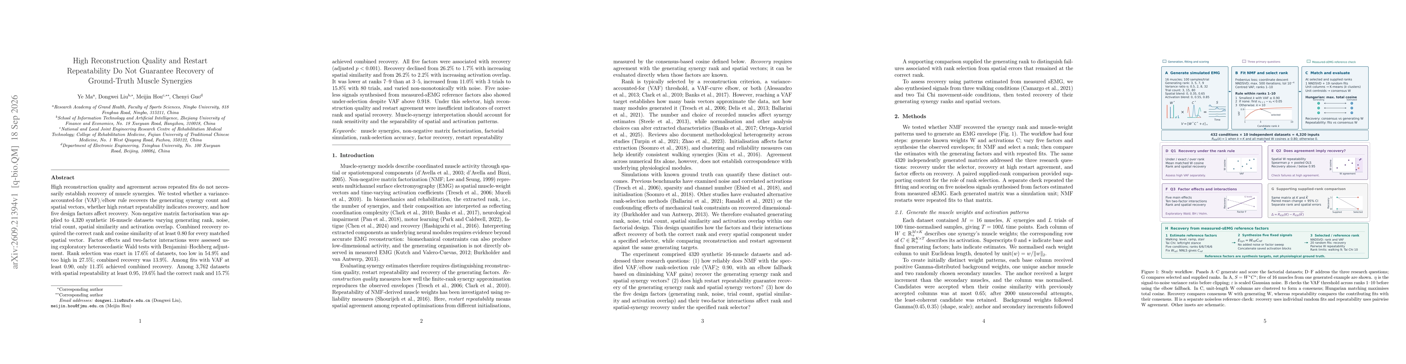 Thumbnail for High Reconstruction Quality and Restart Repeatability Do Not Guarantee Recovery of Ground-Truth Muscle Synergies