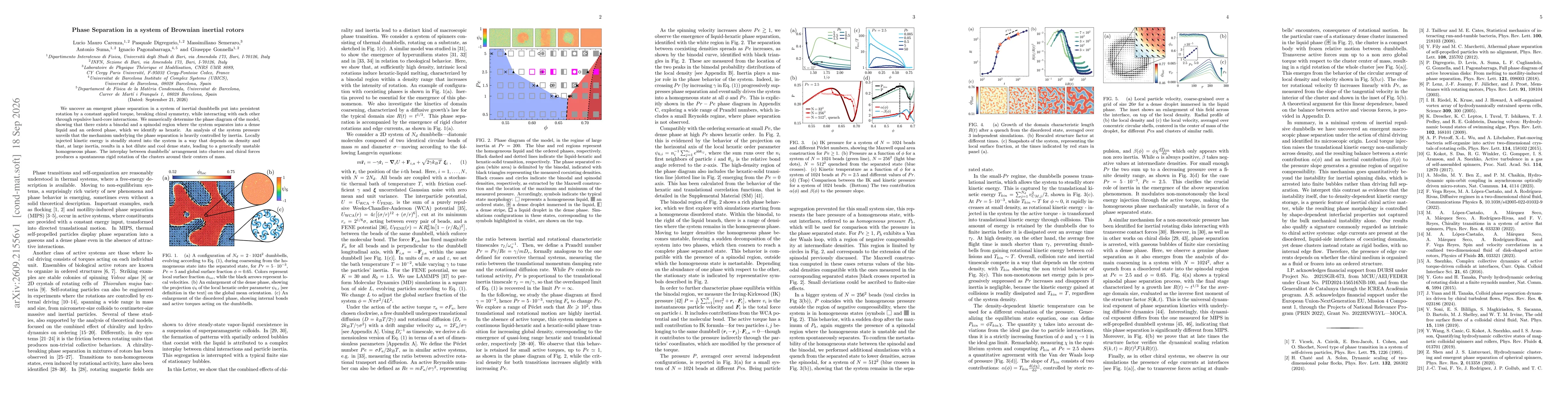 Thumbnail for Phase Separation in a system of Brownian inertial rotors
