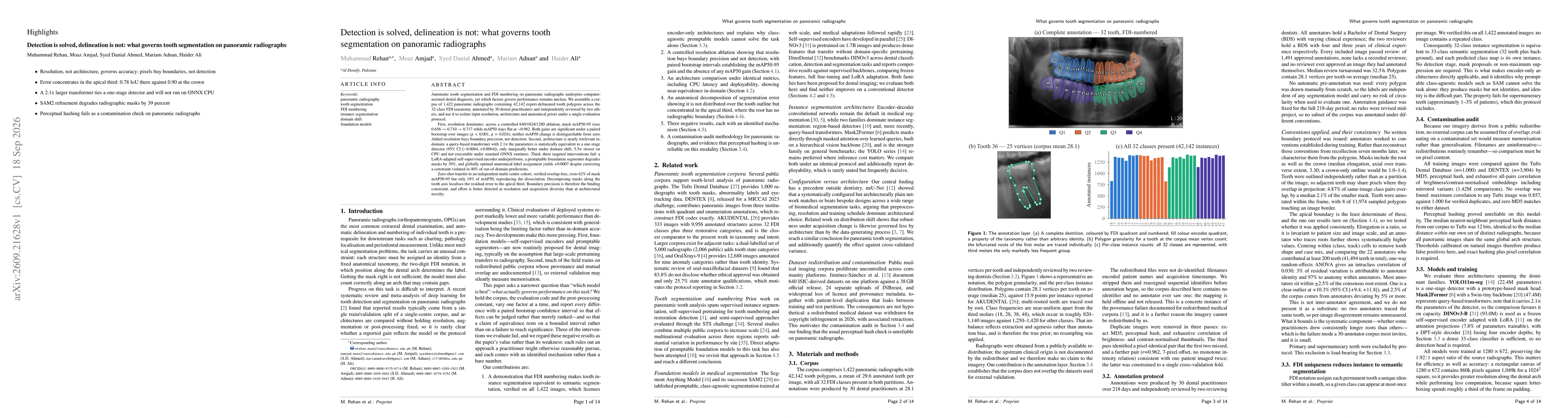 Thumbnail for Detection is solved, delineation is not: what governs tooth segmentation on panoramic radiographs