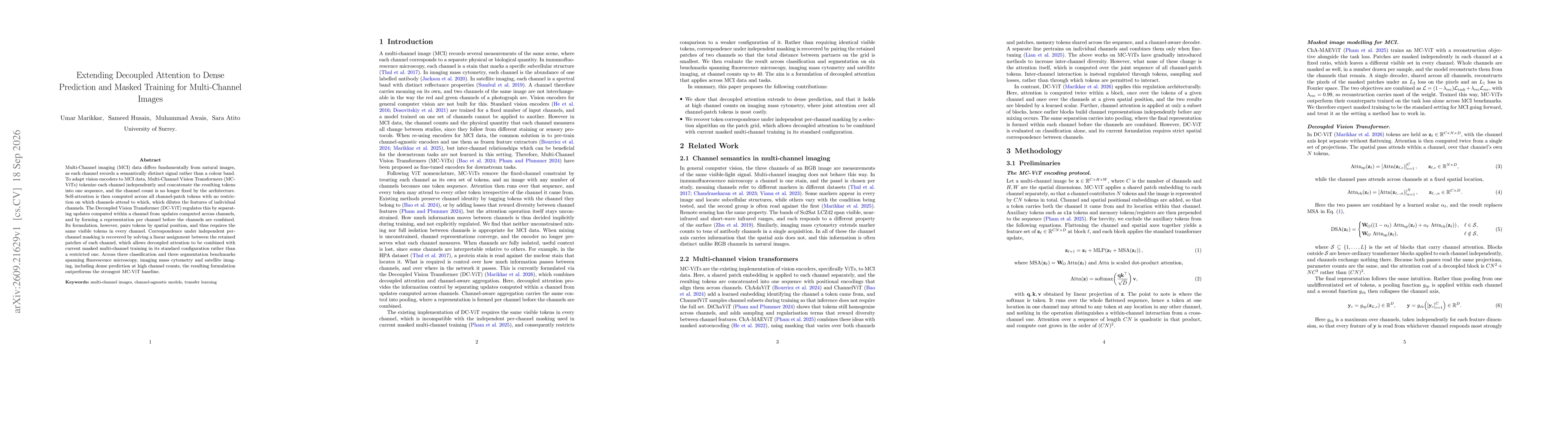Thumbnail for Extending Decoupled Attention to Dense Prediction and Masked Training for Multi-Channel Images