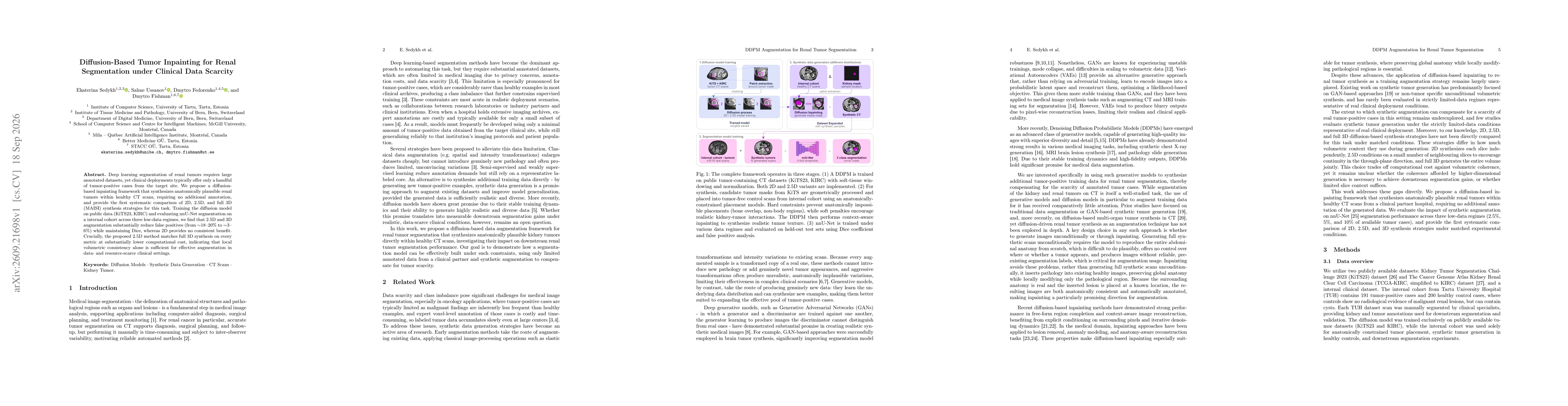 Thumbnail for Diffusion-Based Tumor Inpainting for Renal Segmentation under Clinical Data Scarcity