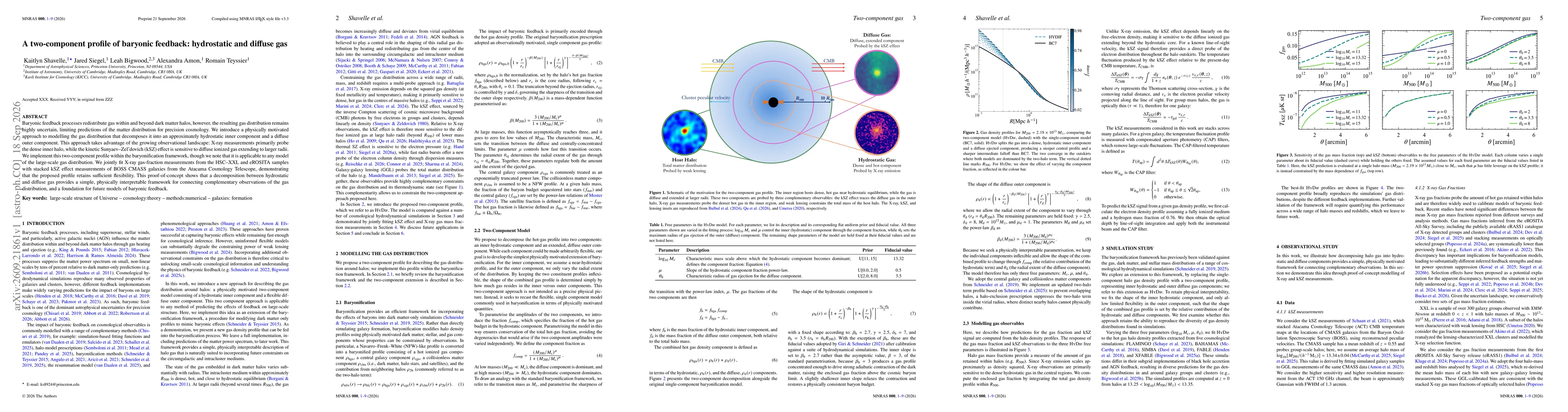 Thumbnail for A two-component profile of baryonic feedback: hydrostatic and diffuse gas