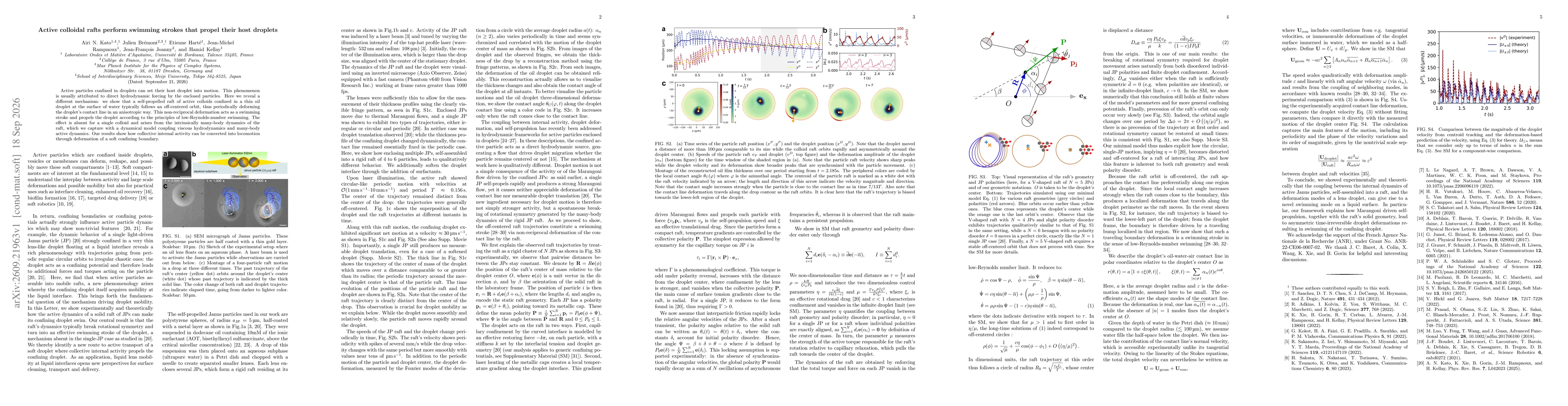 Thumbnail for Active colloidal rafts perform swimming strokes that propel their host droplets