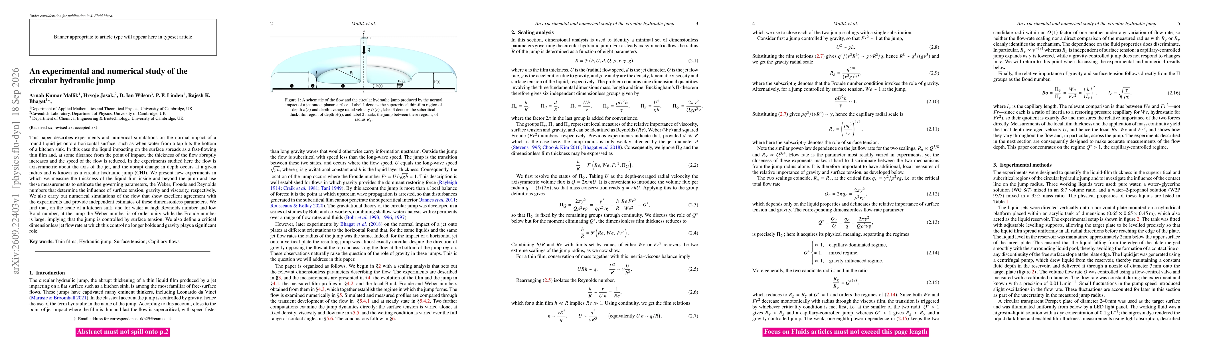Thumbnail for An experimental and numerical study of the circular hydraulic jump