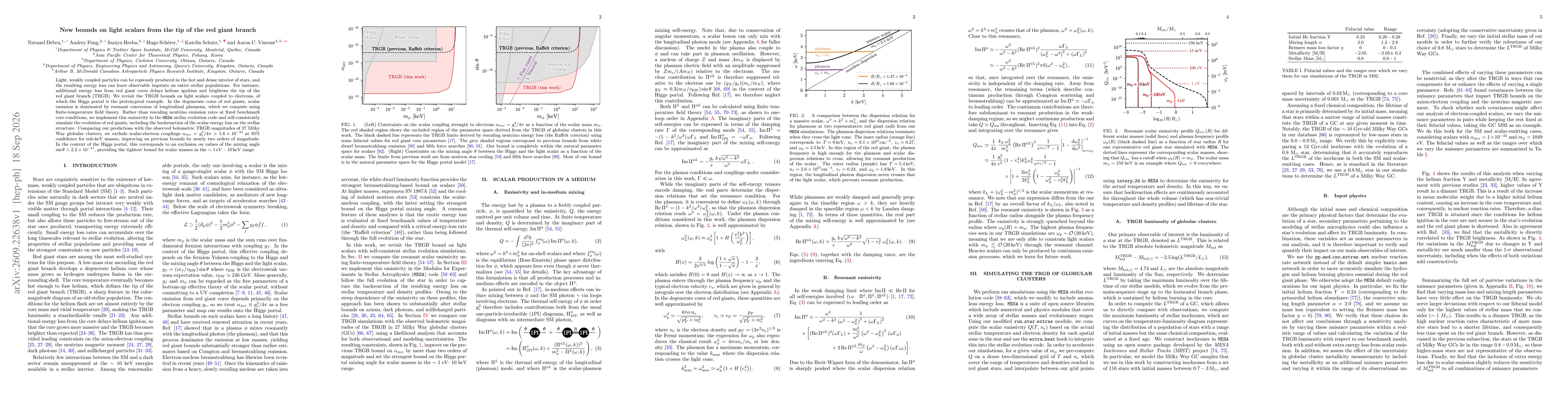 Thumbnail for New bounds on light scalars from the tip of the red giant branch