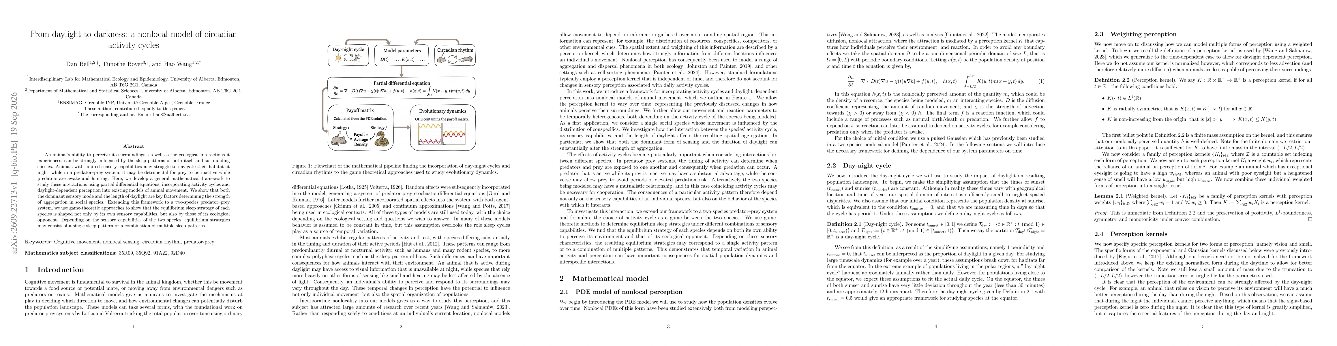 Thumbnail for From daylight to darkness: a nonlocal model of circadian activity cycles