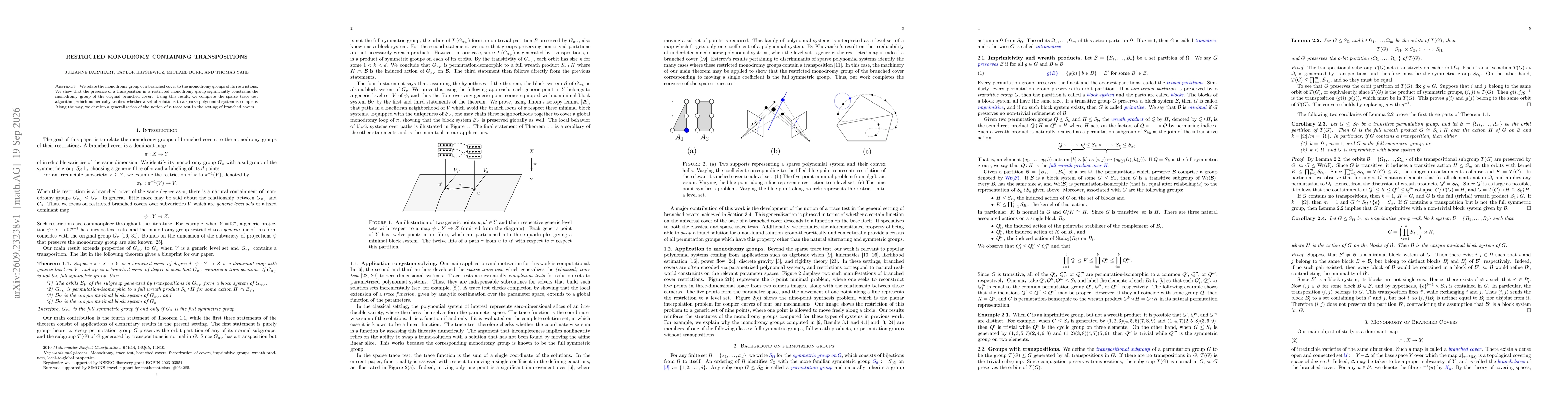 Thumbnail for Restricted monodromy containing transpositions
