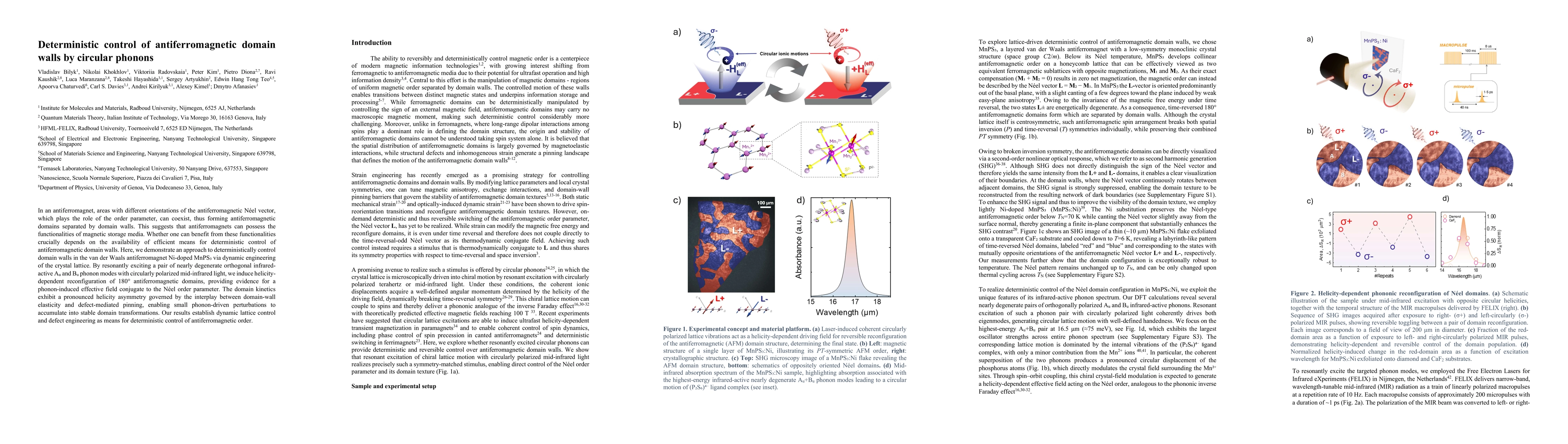 Thumbnail for Deterministic control of antiferromagnetic domain walls by circular phonons