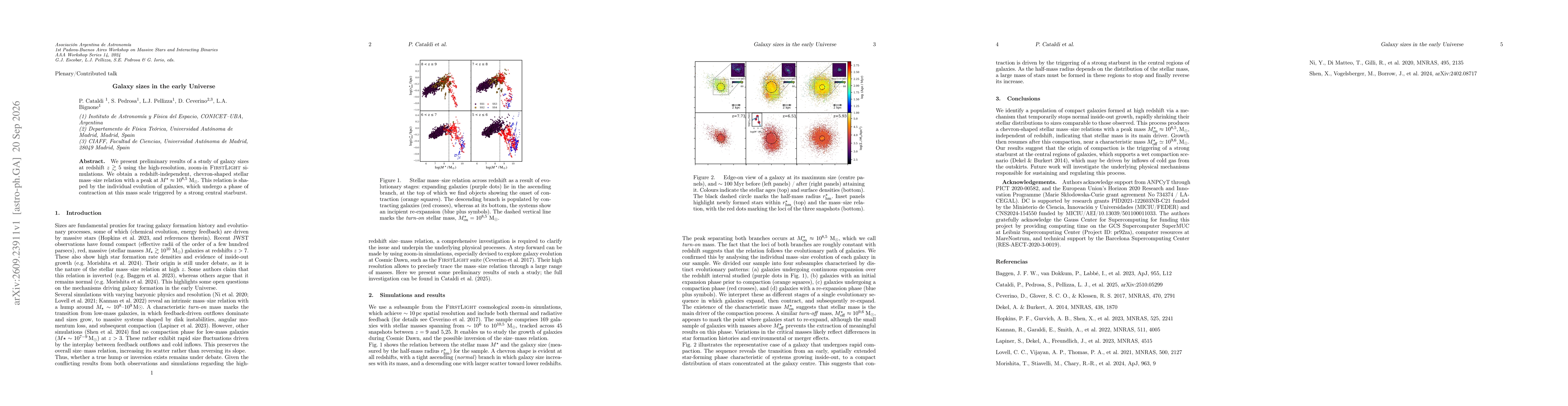 Thumbnail for Galaxy sizes in the early Universe
