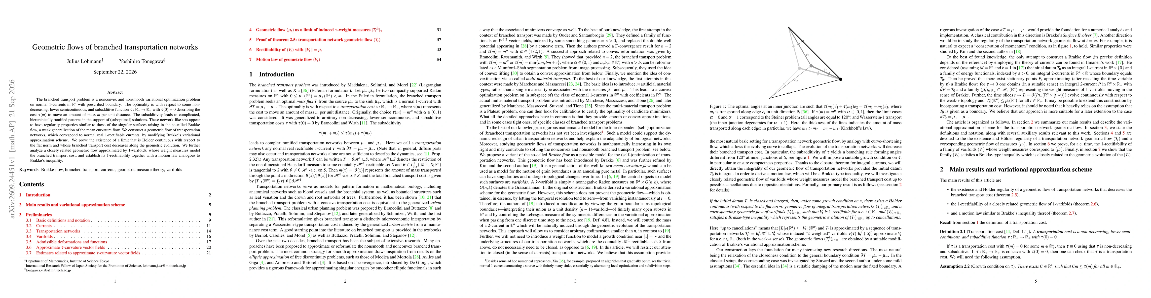 Thumbnail for Geometric flows of branched transportation networks