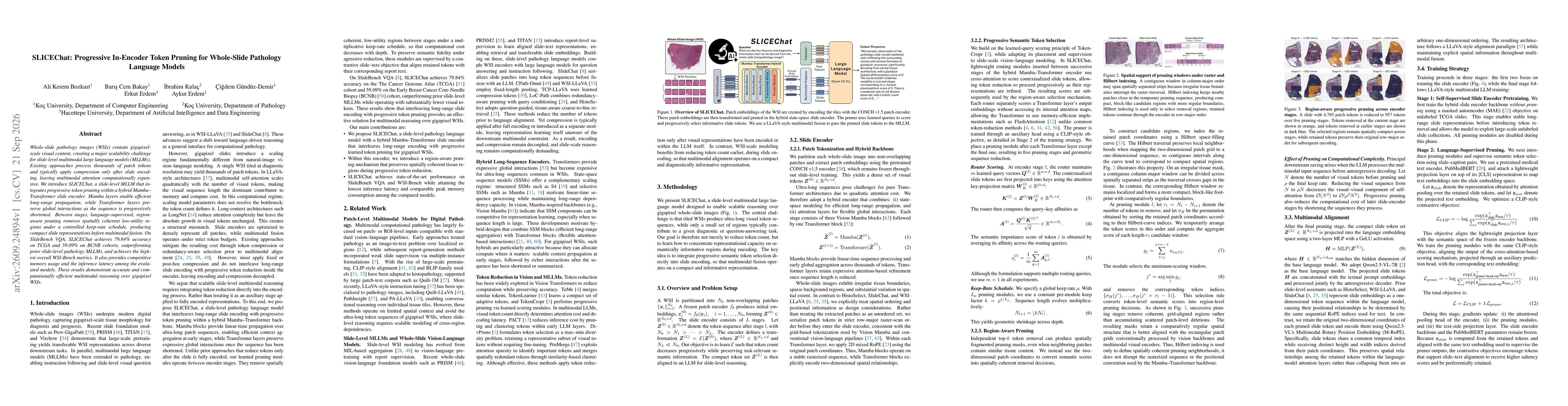 Thumbnail for SLICEChat: Progressive In-Encoder Token Pruning for Whole-Slide Pathology Language Models