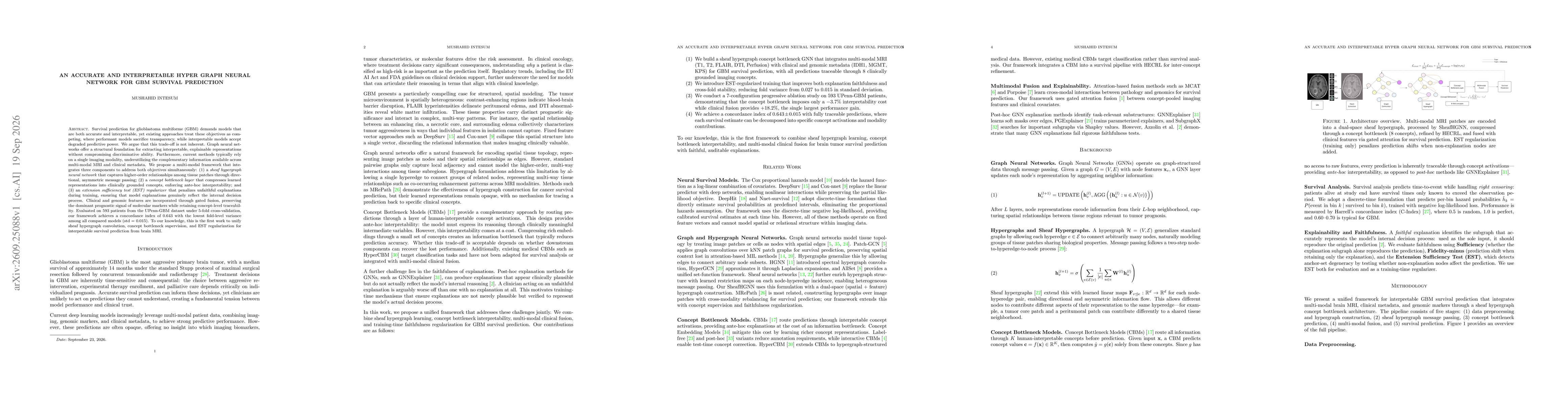 Thumbnail for An Accurate and Interpretable Hyper Graph Neural Network for GBM Survival Prediction