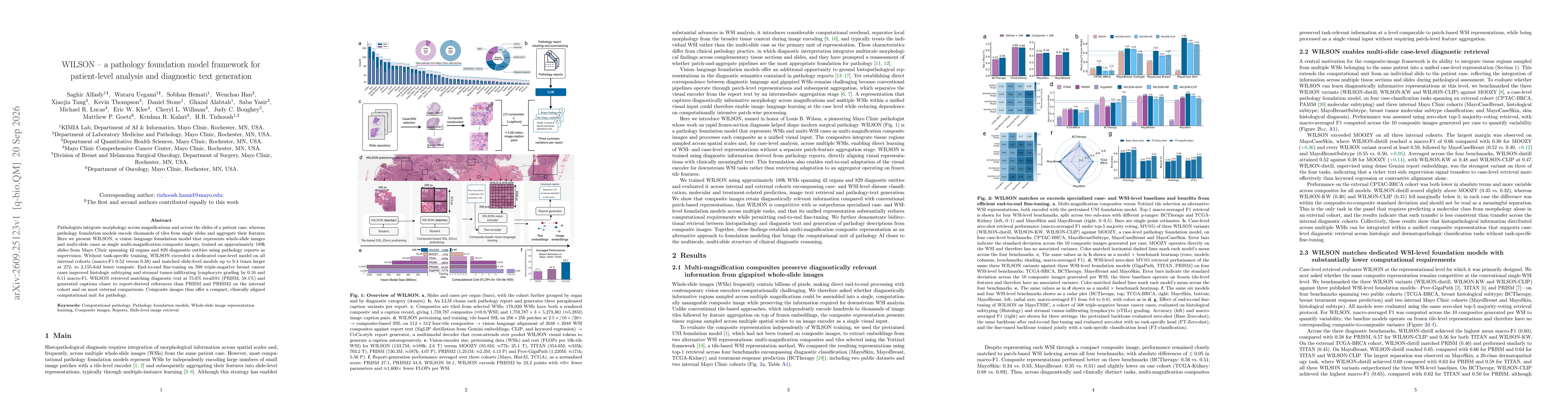 Thumbnail for WILSON - a pathology foundation model framework for patient-level analysis and diagnostic text generation