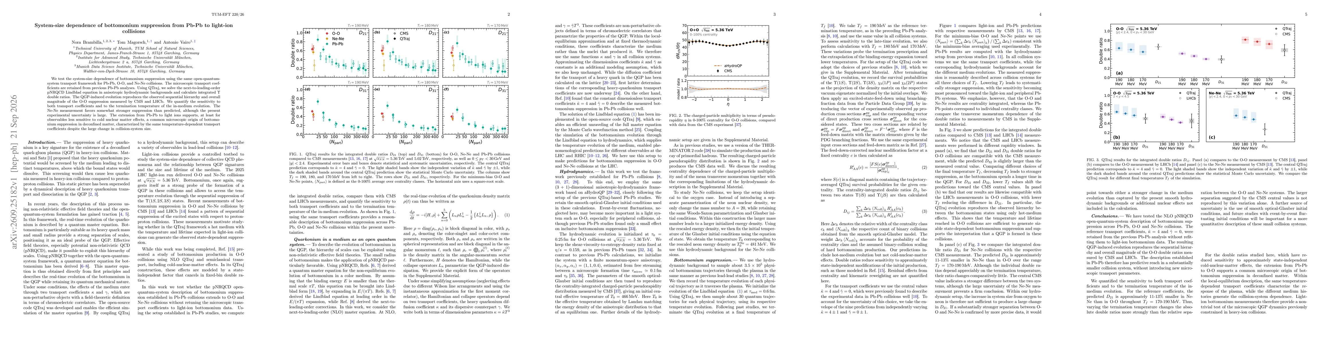 Thumbnail for System-size dependence of bottomonium suppression from Pb-Pb to light-ion collisions