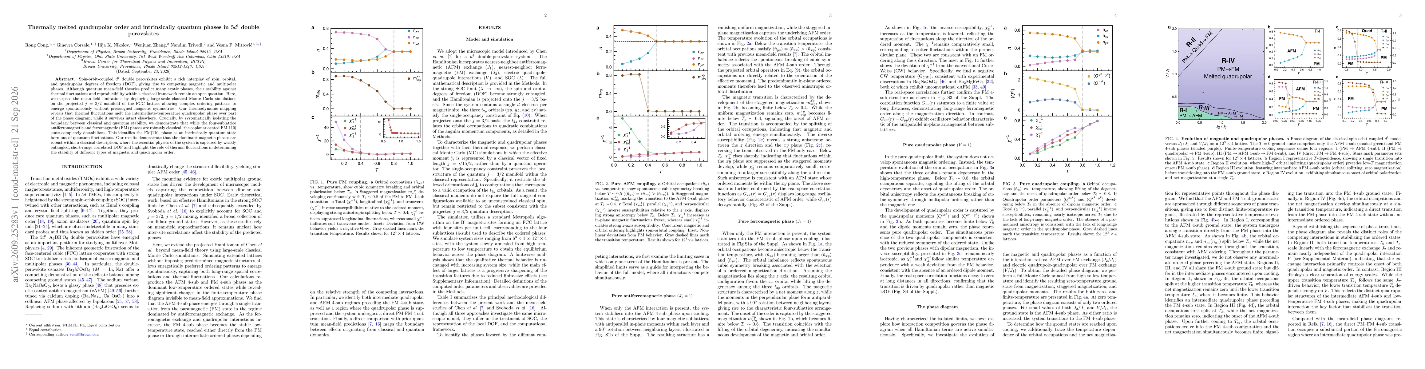 Thumbnail for Thermally melted quadrupolar order and intrinsically quantum phases in 5$d^1$ double perovskites