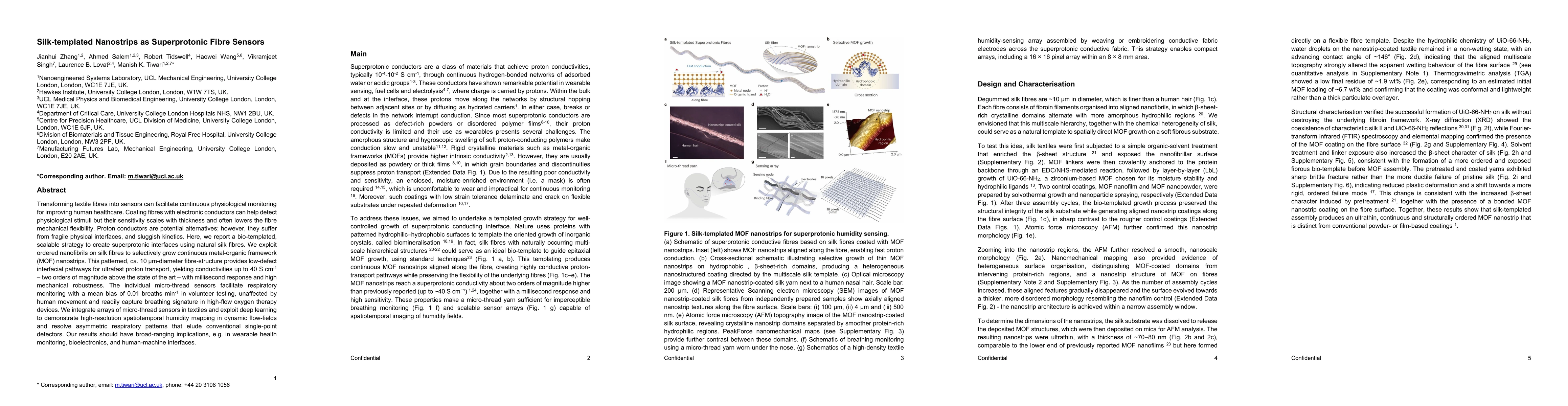 Thumbnail for Silk-templated Nanostrips as Superprotonic Fibre Sensors