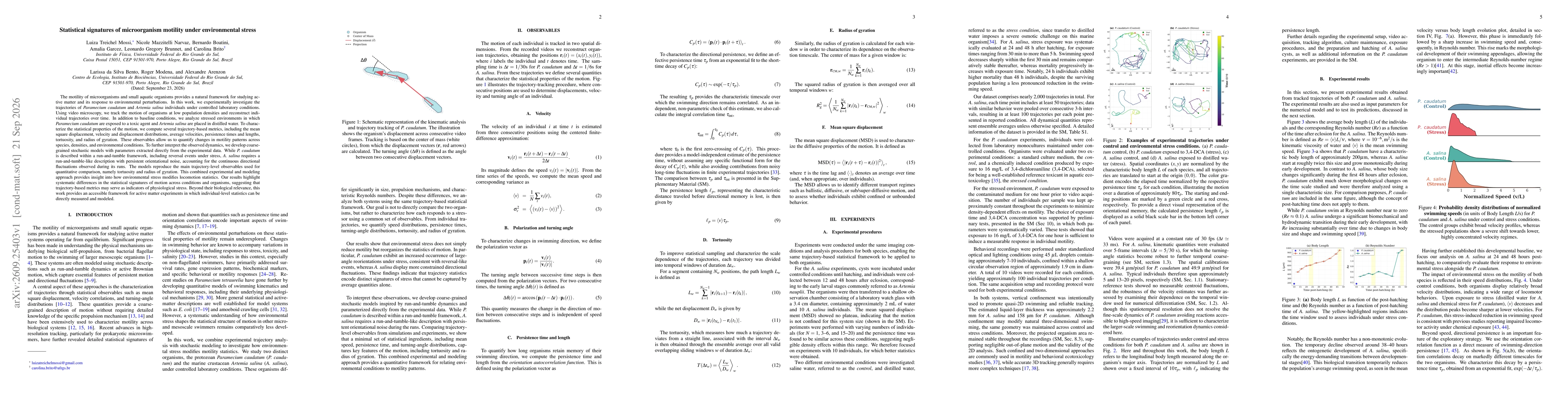 Thumbnail for Statistical signatures of microorganism motility under environmental stress