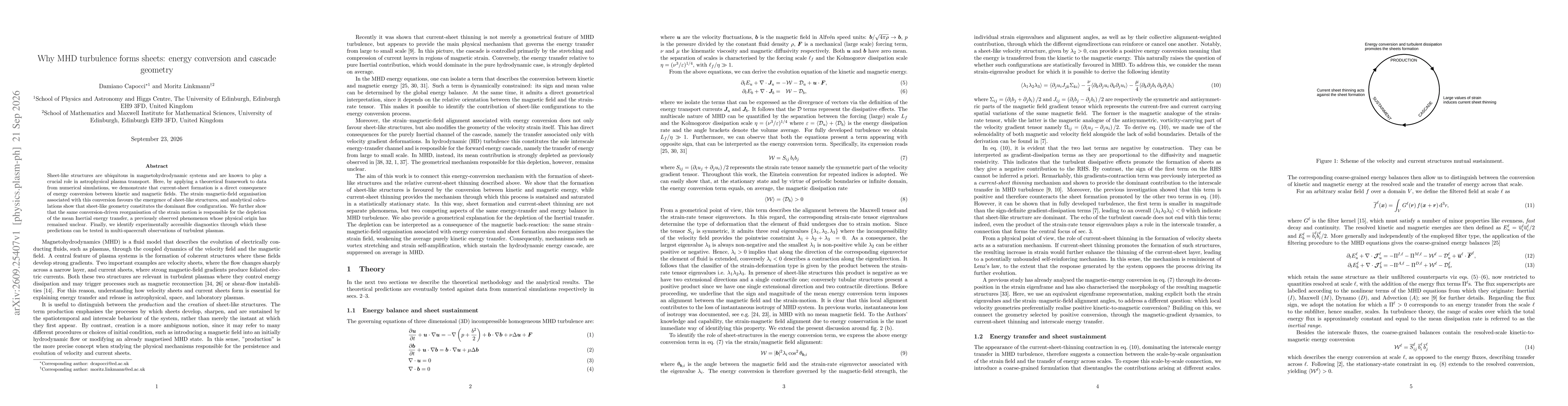 Thumbnail for Why MHD turbulence forms sheets: energy conversion and cascade geometry
