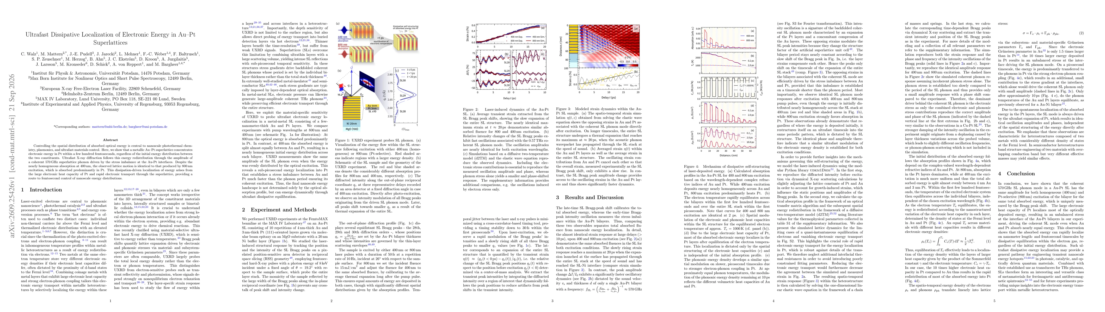 Thumbnail for Ultrafast Dissipative Localization of Electronic Energy in AuPt Superlattices